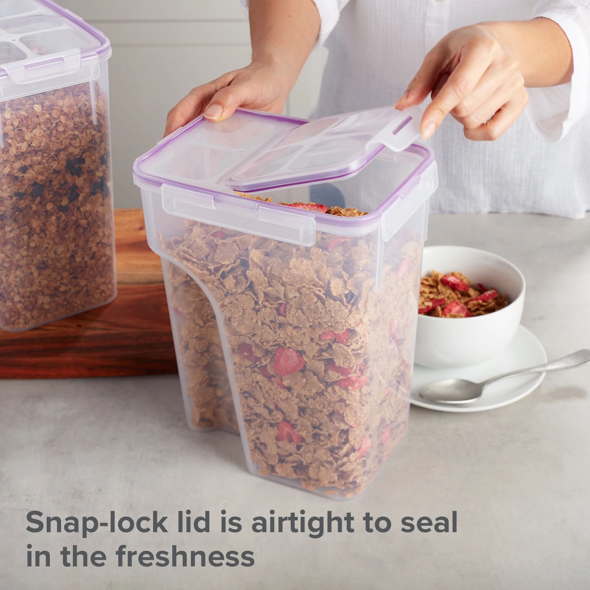 Snapware® Airtight 22.8-cup Plastic Food Storage Container, 2-pack