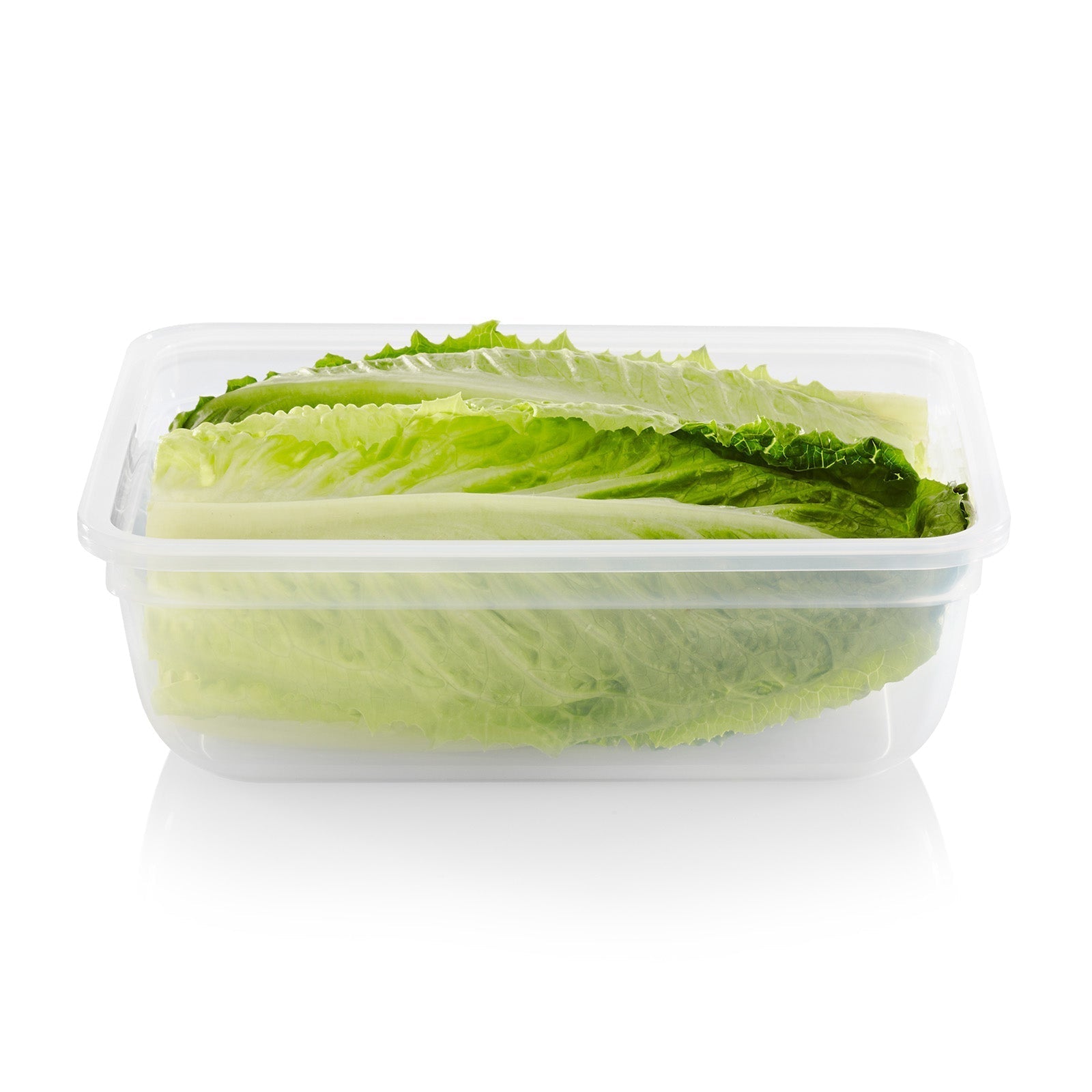 Snapware® Total Solution® 8.5-cup Plastic Food Storage Container with Lid